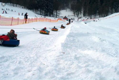 Traumharz