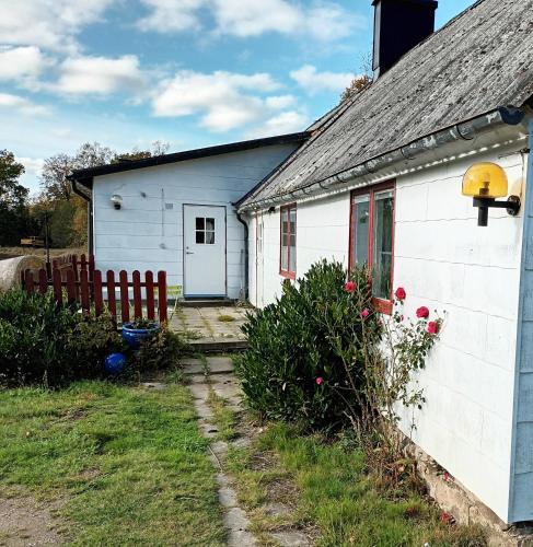 Holiday house in Skane close to nature - Hörby