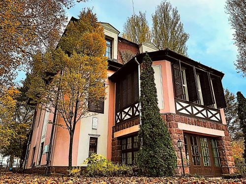 Party Villa Holiday Rent Balatonfoldvar