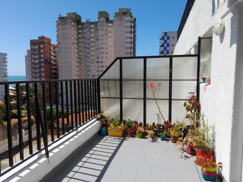 Legarra 1, Miramar (fotografie 10)
