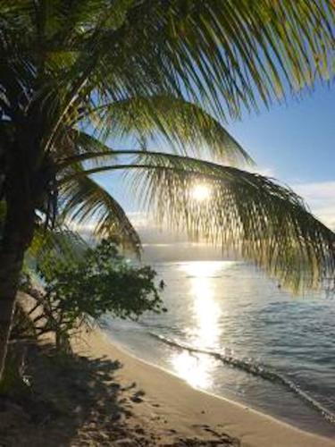 Exterior view, Appartement charmant a Pointe-Noire, vue mer, 51 m², piscine in Pointe-Noire