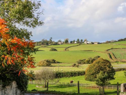 ทัศนียภาพภายนอกโรงแรม, Pillhead Cider House in กลางเมืองไบด์ฟอร์ด