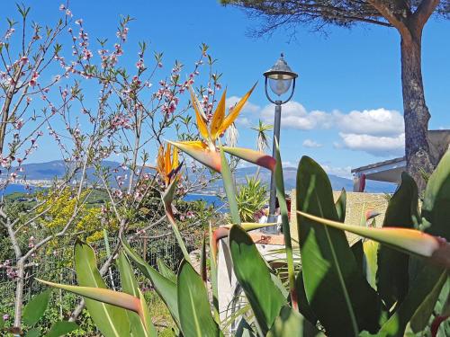 Les Terrasses du Pano - 76 m2 au calme - Jardin - Barbecue - Transats - Pleine vue mer - Wifi Fibre