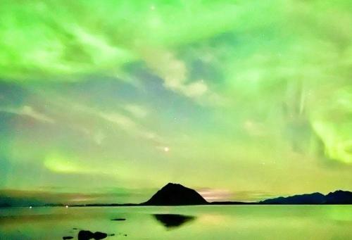 LOFOTEN kajakk