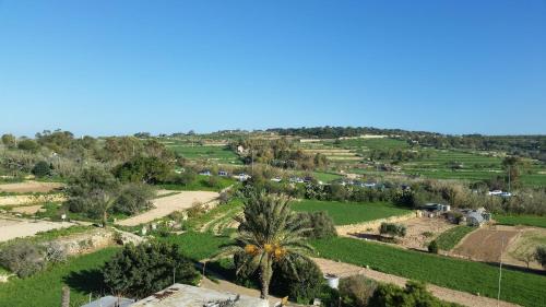 Seagull Penthouse Marsaxlokk - main image