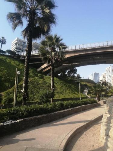 Centric private petfriendly apartments in Miraflores - image 3
