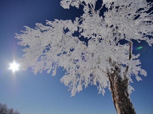 Shiga Kogen Olympic Hotel