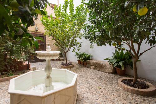Apartamento Puerta Elvira Centro free parking, Granada (Foto 6)