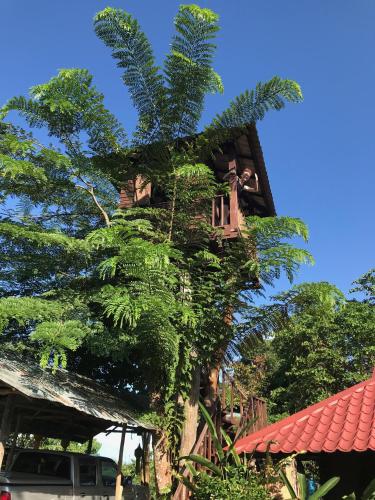 Exterior view, Mae Chan Treehouse with swimming pool in Mae Chan
