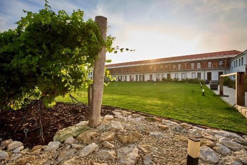 ทัศนียภาพภายนอกโรงแรม, Hotel Ryzlink in มิคูลอฟ