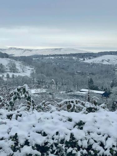 Stoneswood Cottage & Garden, Delph, Saddleworth