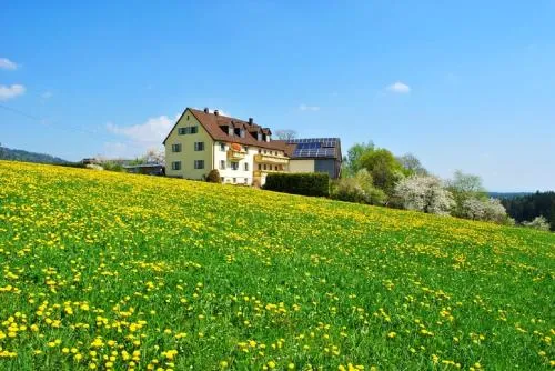 Ferienwohnung Kappauf / Petrik in Friedenfels, Deutschland