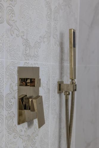 Hotel Vila Central Boutique Satu Mare 3