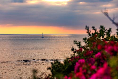 Cliff Dr View in Laguna Beach, USA