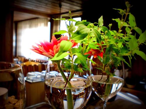 Létesítmények, Hotel & Gastehaus Krone in Geiselwind