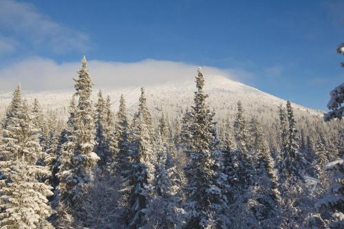 Branas Holiday Home in Syssleback