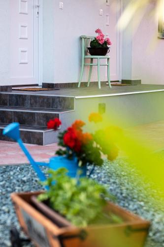 Сад, Mona Apartman in Сарвар