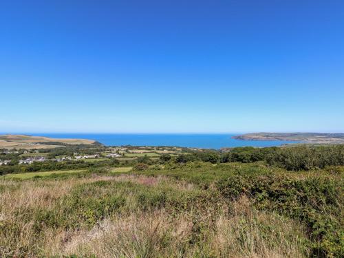 Ty Canol - image 8