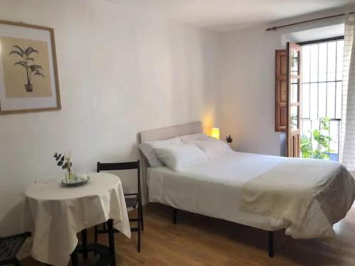 Apartamento Completo Reformado en Arco de Elvira - Centro, Granada (photo 8)