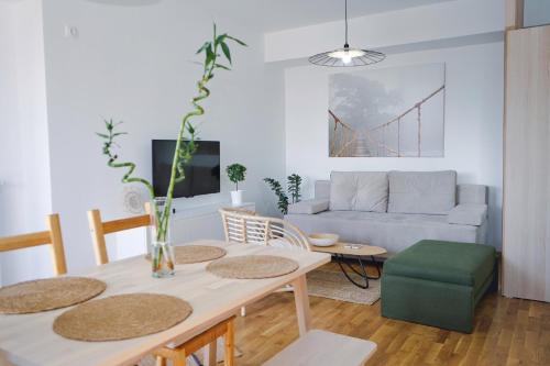 Sunlight Apartment, Skopje (photo 3)
