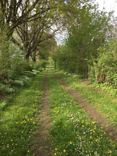 Kert, Ländliches HideAway zwischen Hamburg und Lübeck (Landliches HideAway zwischen Hamburg und Lubeck) in Hamfelde