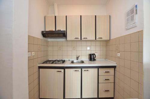 One-Bedroom Apartment image 5