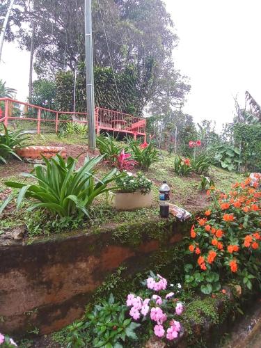 Casa entre la naturaleza