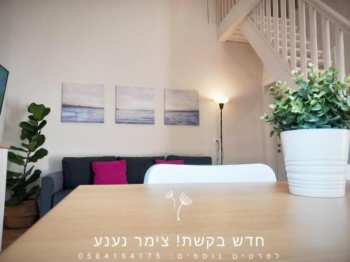 נענע in Aniama