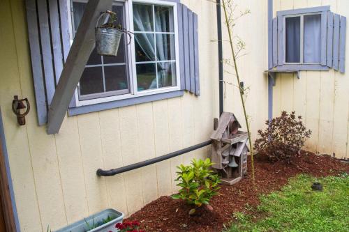 Coastal Studio Coastal Studio