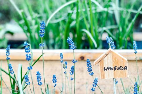 Przystanek Góry - image 11