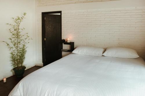 Hospedaje Temazcaltitla in Tepoztlán, Mexico