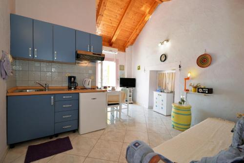One-Bedroom Apartment image 10