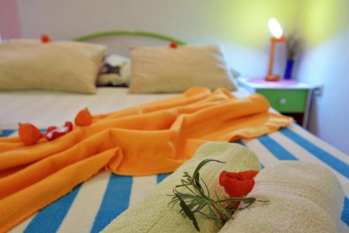 Apartments Sunce - image 4
