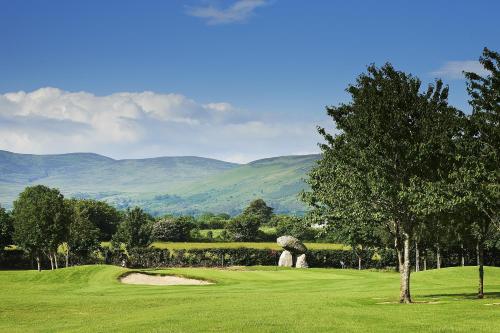Ballymascanlon House Hotel - image 6