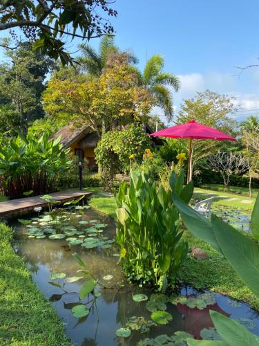 Pura Vida Pai Resort