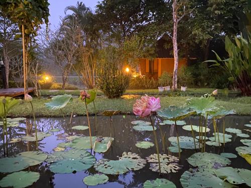 Pura Vida Pai Resort