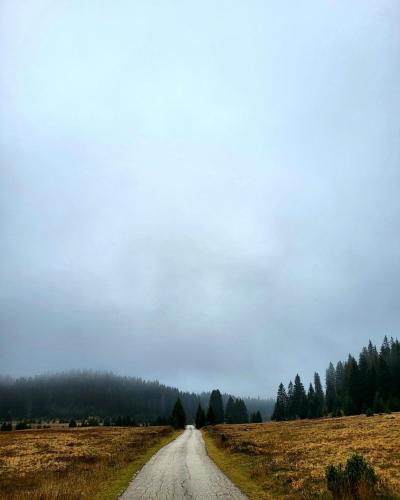 Apartments Zorić - image 9