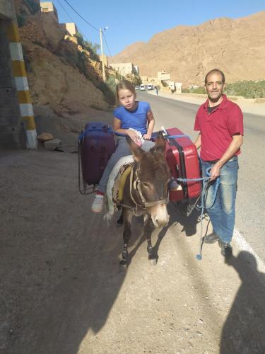 棕榈树宾馆 棕榈树宾馆