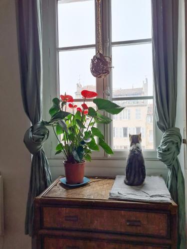 Jolie chambre dans appartement cosy en plein centre, Marseille (fotografie 8)