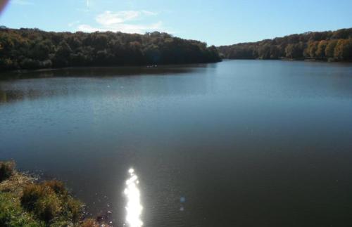 Forest Lake views and fishing