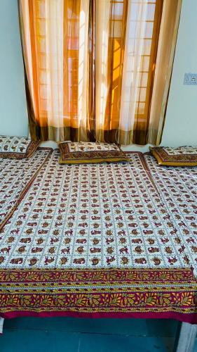 Saket guest house jaipur photo