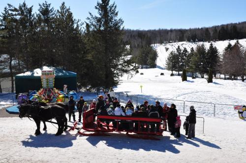 Les Rois de la Montagne