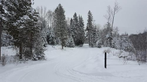 Les Rois de la Montagne