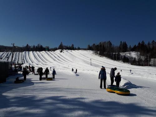 Les Rois de la Montagne