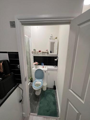 Lovely apartment close to Acton central station - image 3