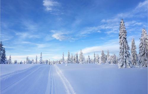 المنظر الخارجي, Amazing Home In Sjusjøen With Sauna in Sjusjoen