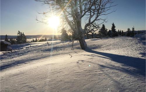 المنظر الخارجي, Amazing Home In Sjusjøen With Sauna in Sjusjoen