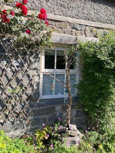 Isallt Cosy Cottage. Dogs Welcome. Superking & Double Bed. Log Burner. Peaceful Village Location