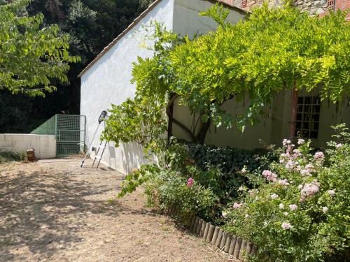 L'Ancienne Raffinerie de Tabac