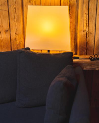 Alpen Hotel Chalet - image 11
